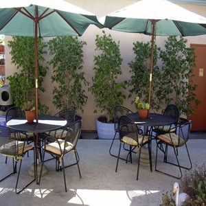 Bayfront Motel 2*