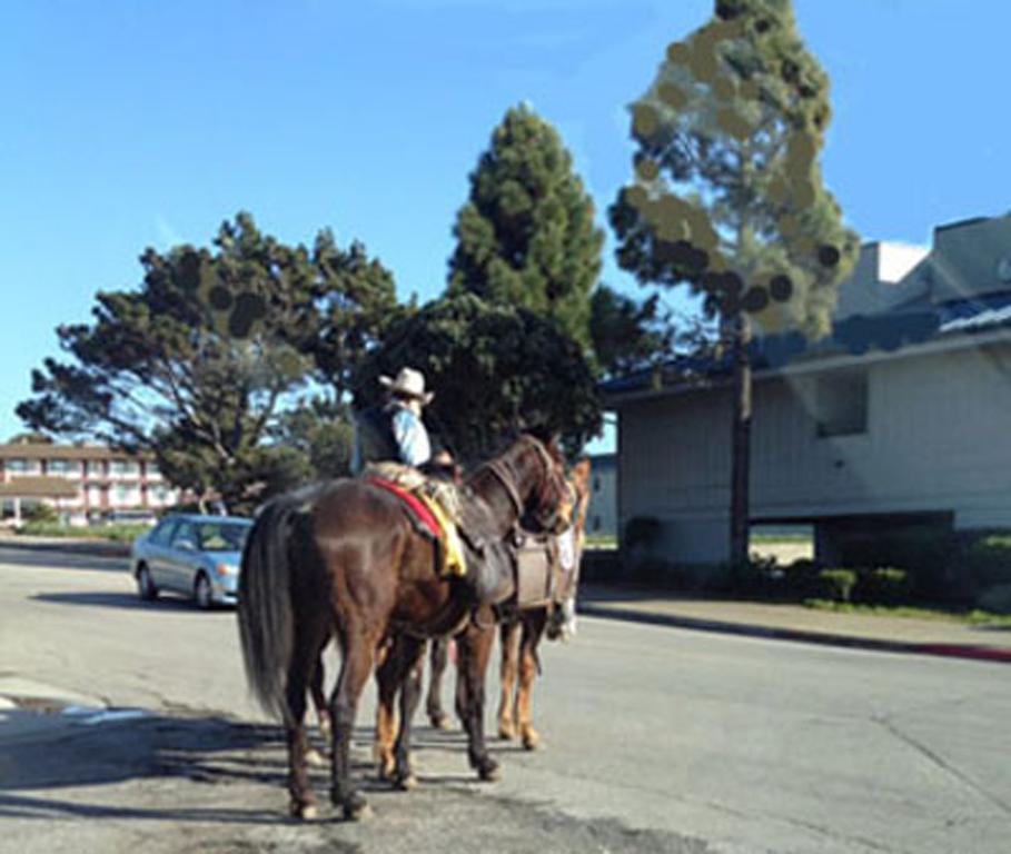 Bayfront Motel Morro Bay